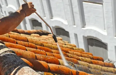 Nettoyage de toitures - Viriat